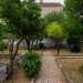 Attraversando il rigoglioso cortile tra agrumi, cycas e arbusti...